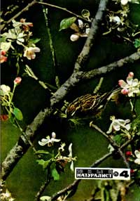 Юный натуралист №04/1975 — обложка журнала.