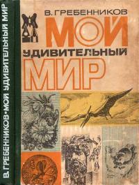 Мой удивительный мир — обложка книги.