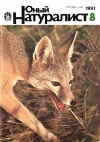 Юный натуралист №08/1991 — обложка книги.