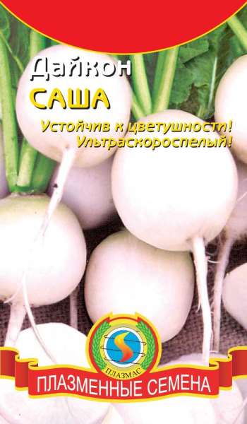 Фотография. Не кликабельно. Груглый дайкон