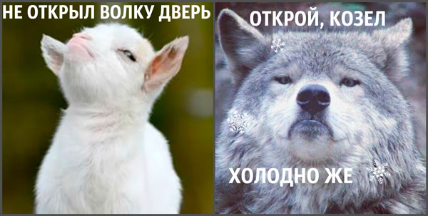 Фотография. Не кликабельно. Дверь против надоедливых гостей.