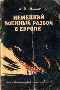 Немецкий военный разбой в Европе — обложка книги.