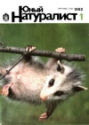 Юный натуралист №01/1992 — обложка книги.