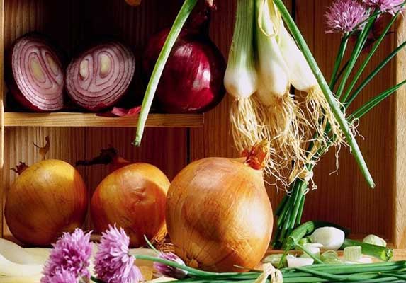 Фотография. Не кликабельно. Благодаря специфическому вкусу, аромату и целебным свойствам лук пользуется спросом у населения всего мира.