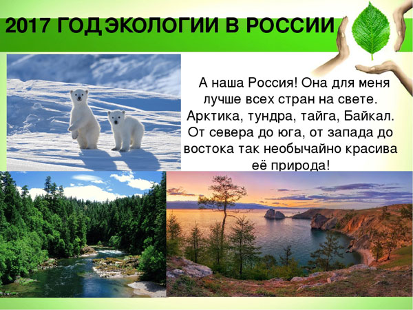 Фотография. Не кликабельно. В том числе на ситуацию с мусором, его переработкой.