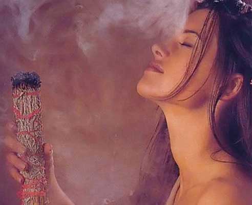 Фотография. Не кликабельно. Багульником можно окуривать помещение.
