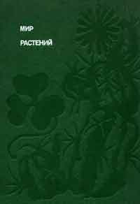 Мир растений: Рассказы о саксауле, селитрянке, баобабе, березах, кактусах, капусте, банксиях, молочаях и многих других широко известных и редких цветковых растениях — обложка книги.