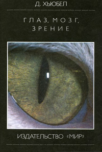 Глаз, мозг, зрение — обложка книги.