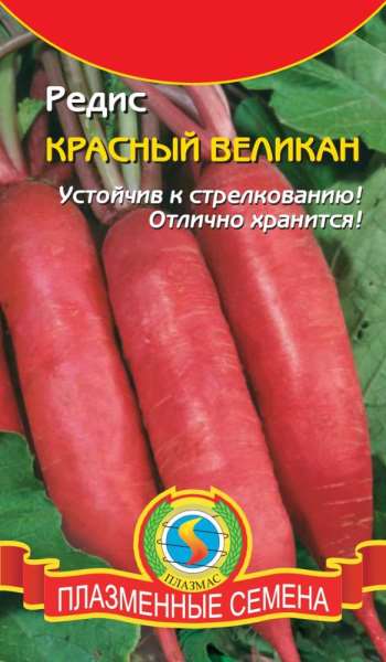 Фотография. Не кликабельно. Существуют разные сорта редиса