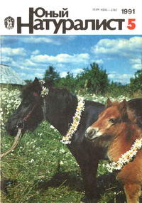 Юный натуралист №05/1991 — обложка журнала.