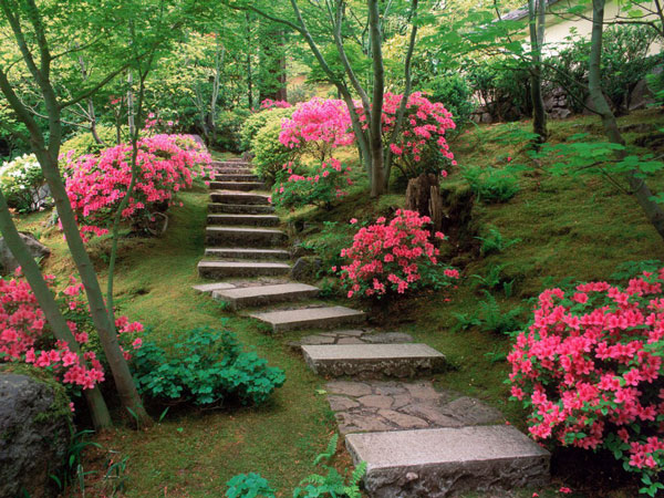 Садовые ступеньки - не только практичное приспособление, но и очень эффектный элемент садовой архитектуры.
