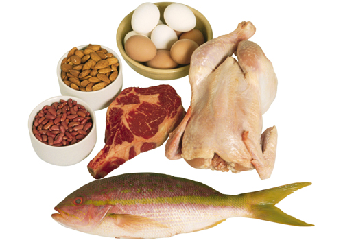 Эффективность белковой диеты зависит от продуктов, которые должны состоять преимущественно из чистого белка.