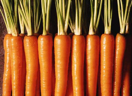 Морковь с повышенным содержанием кальция.