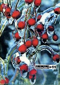 Юный натуралист №11/1973 — обложка журнала.