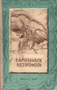 По страницам каменных летописей — обложка книги.