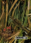Юный натуралист №08/1975 — обложка книги.