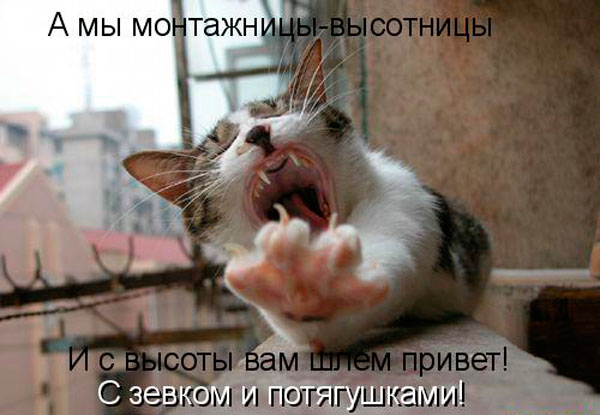 Фотография. Не кликабельно. Порву как тряпку.