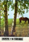 Юный натуралист №09/1977 — обложка книги.