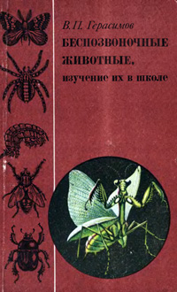 Беспозвоночные животные. Изучение их в школе — обложка книги.