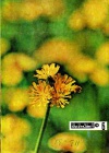 Юный натуралист №06/1974 — обложка книги.