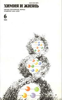 Химия и жизнь №06/1985 — обложка журнала.