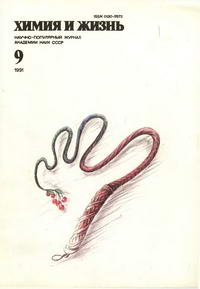 Химия и жизнь №09/1991 — обложка журнала.
