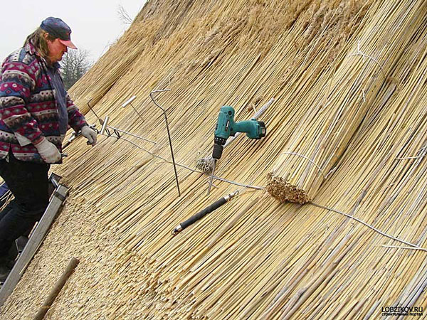 При каждом способе монтажа тростниковой крыши используют 10 – 12 вязанок тростниковых стеблей на 2 м.кв. крыши.