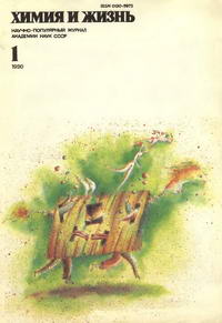 Химия и жизнь №01/1990 — обложка журнала.
