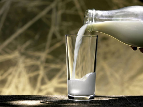 Состав молока просто уникален: его белки – казеин, глобулин и альбумин – содержат в себе все необходимые аминокислоты.