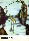 Юный натуралист №04/1976 — обложка книги.