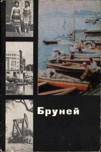 У карты мира. Бруней — обложка книги.