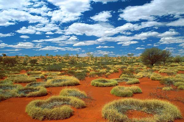 Самый разгар жаркого лета в Австралии - это декабрь.