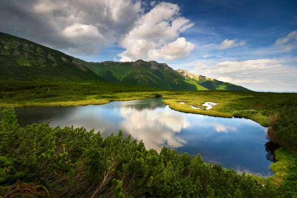 Фотография. Не кликабельно. Великолепными пейзажами смогут насладиться любители ботаники и живой природы.