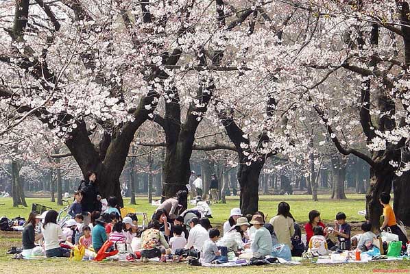 Большинство из садов Kaiyu-Shikien в настоящее время являются общественными парками.