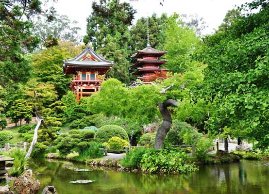 Японские фонари, озеро, ступеньки, а также место ожидания – основа чайного сада.