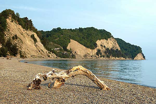 Фотография. Не кликабельно. Ароматом сосновой хвои, морскими солями, кислородом наполнен воздух.
