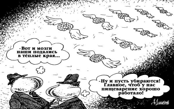 Фотография. Не кликабельно. Государственная невостребованность.