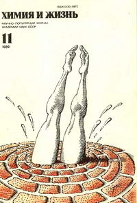 Химия и жизнь №11/1989 — обложка журнала.