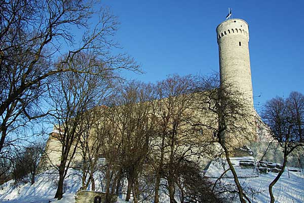 Национальный флаг Эстонии развевается на вершине башни Длинный Герман.