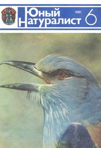 Юный натуралист №06/1981 — обложка журнала.
