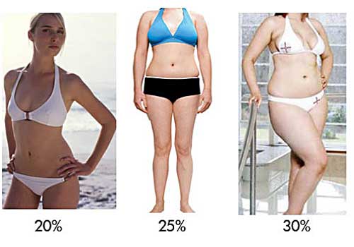 На уровне 17 – 25 % должно быть содержание жира в женском организме.