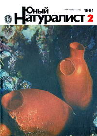 Юный натуралист №02/1991 — обложка журнала.