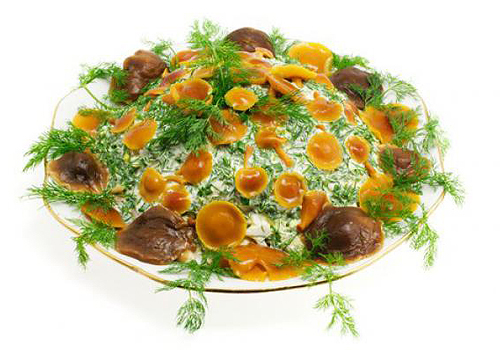 Салат из мелконарезанных отварных грибов, петрушки, зелени, укропа, с добавлением малого количества обезжиренного творога.