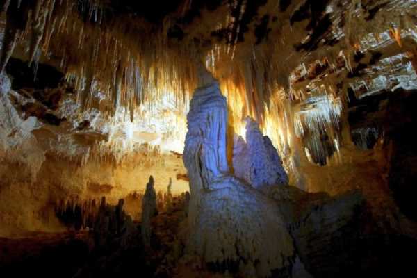 В пещерах обитают светящиеся черви