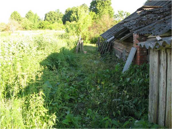 Фотография. Не кликабельно. Будущий огород