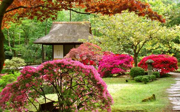 Сад японский.