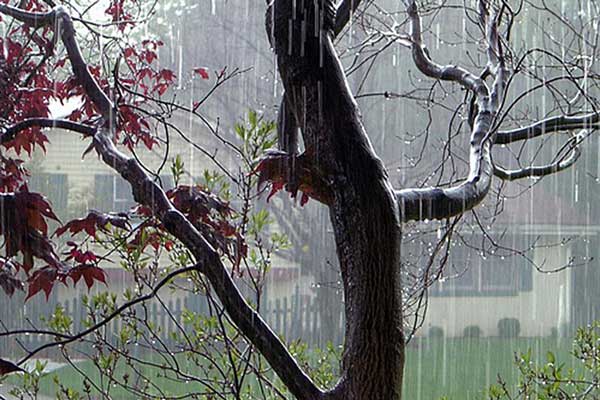 Фотография. Не кликабельно. Дождь и ветер властвуют в это время года.