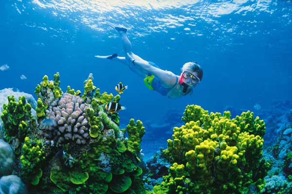 Настоящий рай для аквалангистов – Большой Барьерный риф.