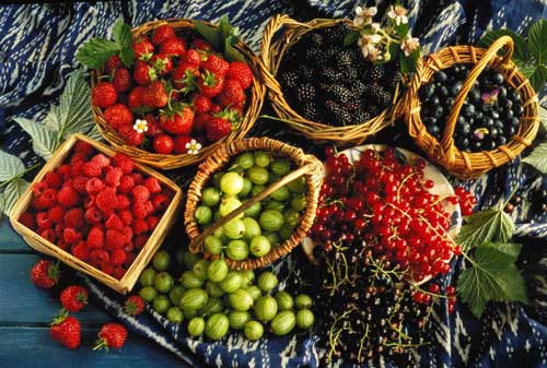 Фотография. Не кликабельно. Ягоды это всегда празднично, ароматно, вкусно и полезно и конечно надо этим пользоваться.