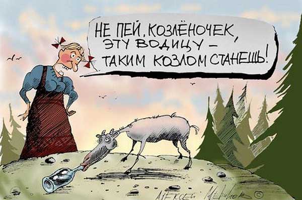 Фотография. Не кликабельно. Козленочек, не пей!